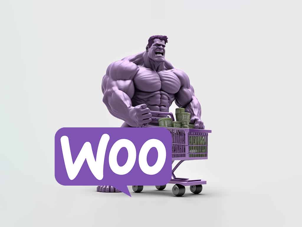 WooCommerce for Your South African Business